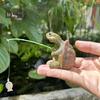 Fishing Turtle Statue Resin Miniature Turtle Figurine Water Feature Decor Mini Turtle Sculpture for Garden Patio Pond