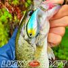 [Lucky Craft] Clutch MR Fishing Lure Crankbait (004 Lime Chartreuse)