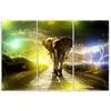 Three piece picture canvas print Elephant Animal Road Storm