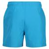 Regatta Mens Mawson II Swim Shorts