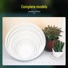 Thickened Round Plastic Flower Pot Water Tray - Large Draining Base for Succulents & Golden Pothos.
