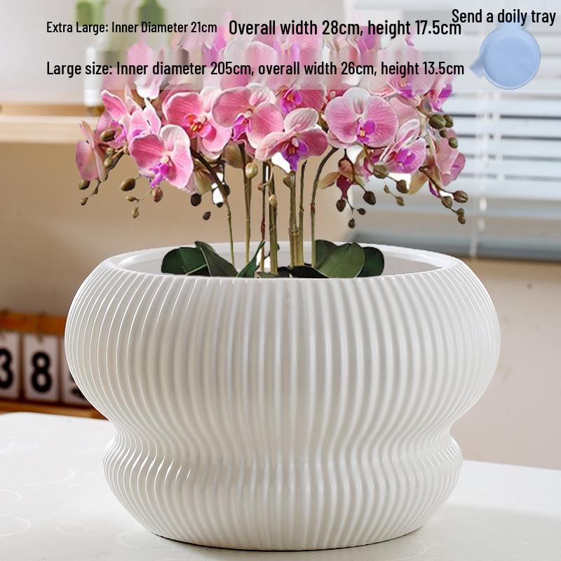 Large Creative Ceramic Flower Pot with Tray - Ideal for Chlorophytum & Succulents