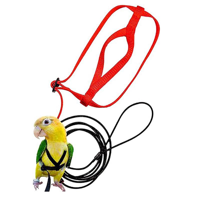 Parrot flying rope traction strap outing rope training traction rope Grey parrot King Kong flight rope training bird supplies