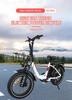 SAMEBIKE DZ2030 800W Electric Bike, 48V 16Ah Removable Lithium Battery, 20" X 4.0 Fat Tire Delivery E-Bike for Adults