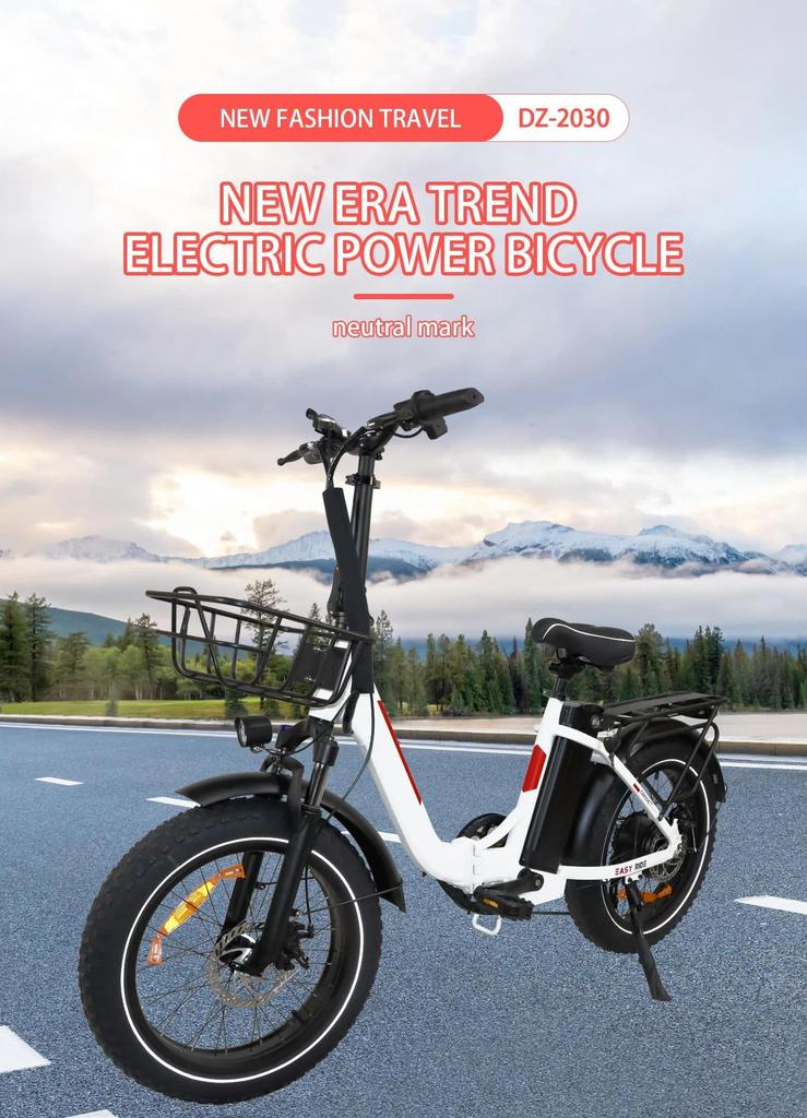 SAMEBIKE DZ2030 800W Electric Bike, 48V 16Ah Removable Lithium Battery, 20" x 4.0 Fat Tire Delivery E-Bike for Adults