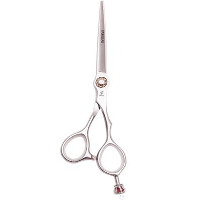 5,5-дюймовые 6-дюймовые ножницы для домашних животных, ножницы для щенков, Tedy Cat, инструменты для ухода за домашними животными, ножницы для стрижки ресниц, усов, обрезки лица, ножницы для резки шерсти