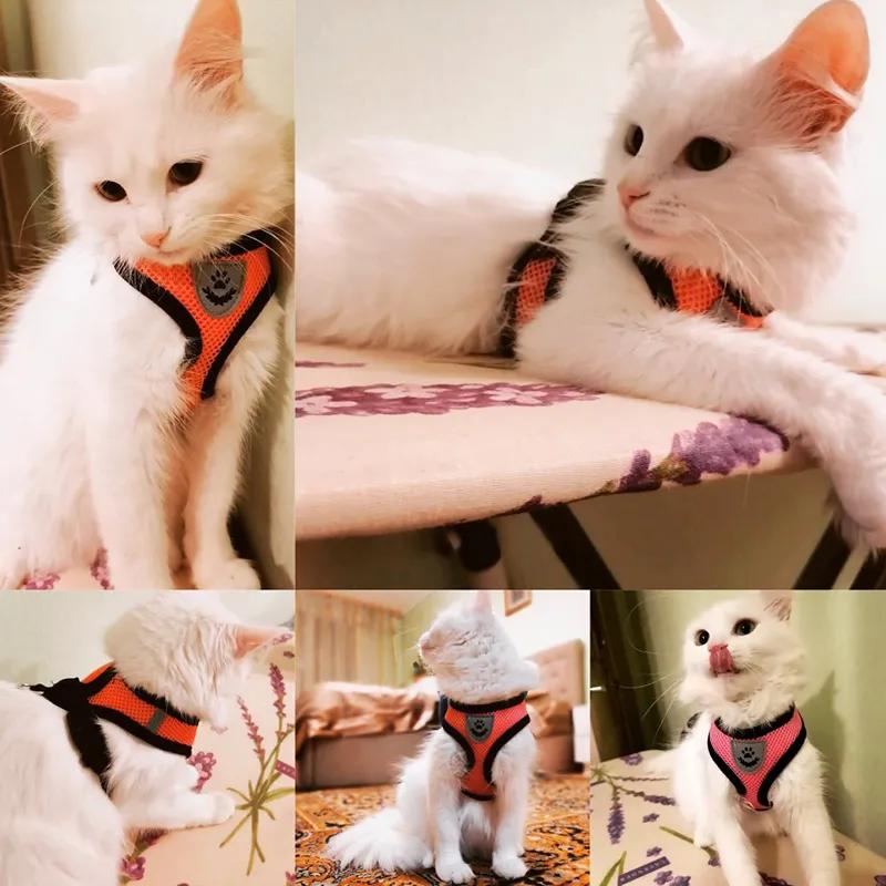 Кошачья шлейка, поводок для прогулок, поводок для щенков, ошейник из полиэстера, регулируемая сетка, шлейка для собак для маленьких и средних домашних животных, аксессуары