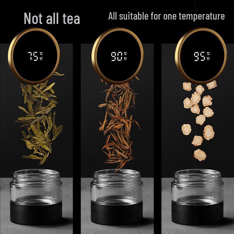 Vanow Smart Tea Infuser Thermos with LED Display