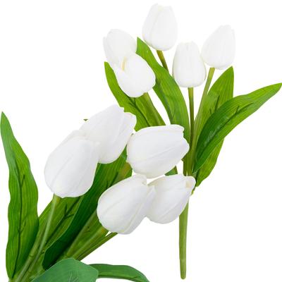 Озеленение и ландшафтный дизайн – Семена