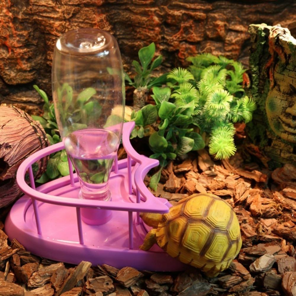 Accessories Turtle Food Container Lizard Food Bowel Reptile Feeder Tortoises Water Dispenser