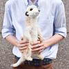 HANSA Meerkat Plush Toy x x 194735 No. 4576, 17.8 15.8 31.7cm, Acrylic,