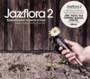 CD VARIOUS - Jazzflora 2 (Scandinavian Aspects O DNMCD010 DNM - Dealers O 2005 Europe Dance & Electronica Used