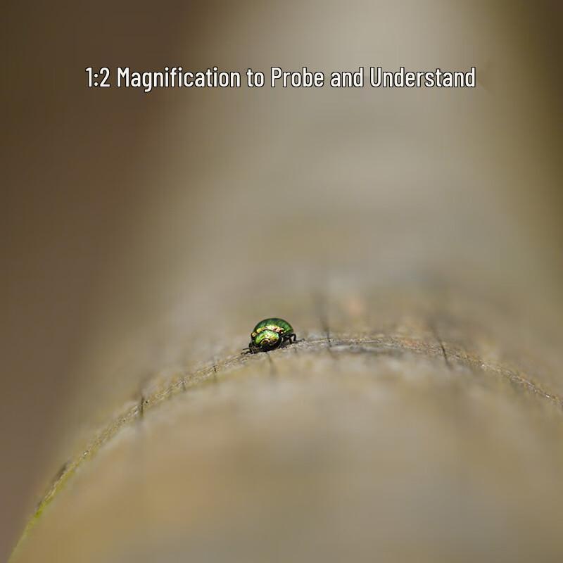 Sigma 20-200mm F3.5-6.3 DG Contemporary Full-Frame Mirrorless Lens