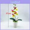 Fake Butterfly Orchid Decor With Pvc Material For Indoor Spaces And Collectors Display