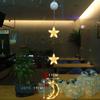 Fairy String Lights Star Lamp Curtain Garland Hanging Lamp  Holiday Wedding Party