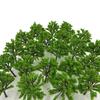Green Cherry Palm Pine Forest N Architectural Tree 15 Pieces [DauStage] Blossom, Bamboo, Trees, Willow, Model, Gauge, Diorama, Railway, Miniature, 03.