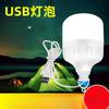 1Pc LED Bulb  Low Voltage USB Bulb Camping Low Voltage LED Bulb Power Bank Night Light USB Bulb