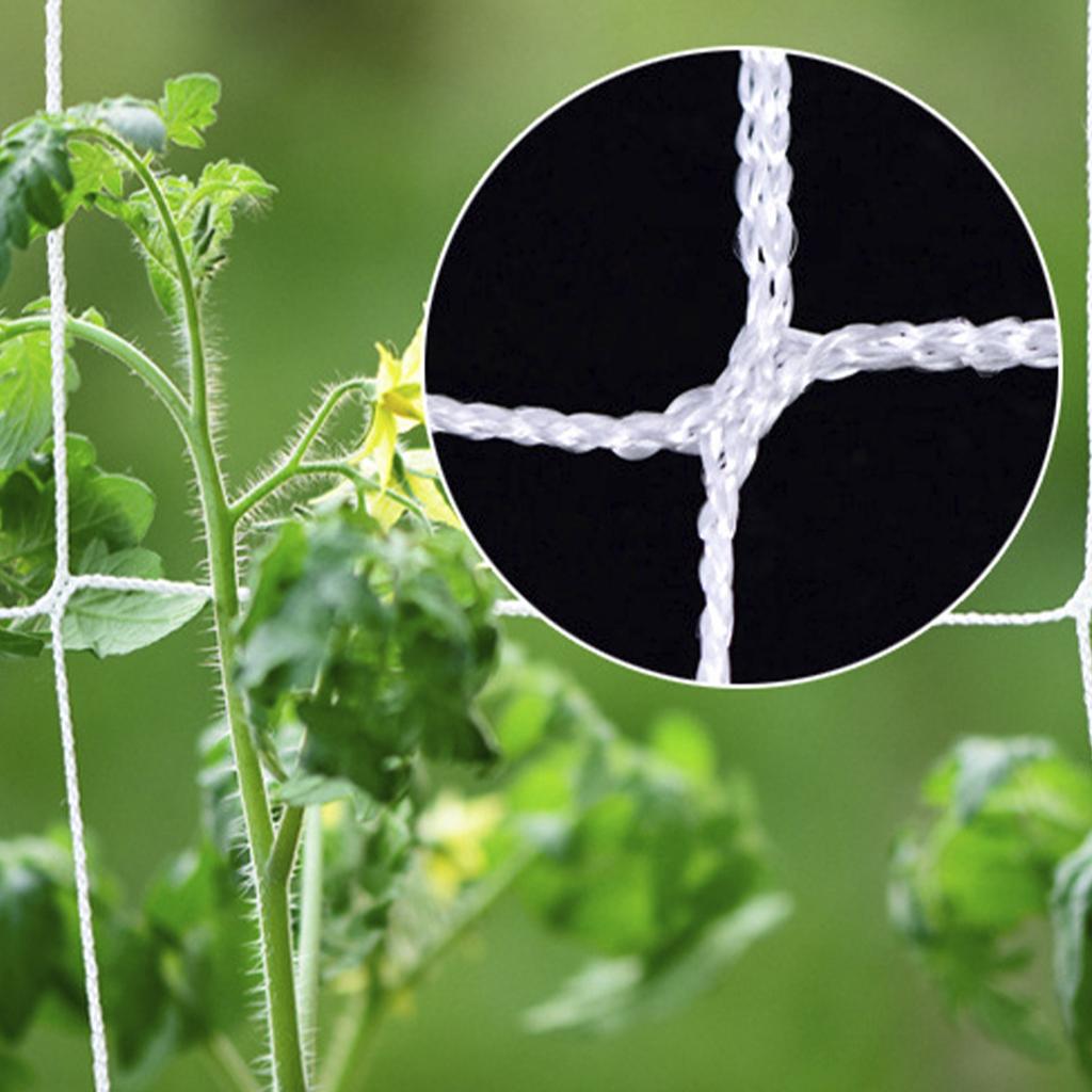 Plant Climbing Net Mesh Heavy-Duty Plant Support Stand Tomato Fruits Vegetables Trellis Netting Planting Gardening Supplies