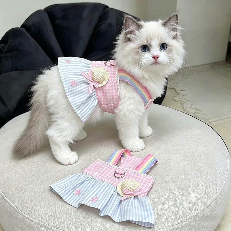 Платье для кошки, милое, с радужным ремешком, принцессы, юбка, кукла, золотисто-затененные кошки, против линьки