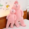 Pink Rabbit Doll Sand Sculpture Couple Long Sleeping Pickle Doll Throw Pillow Rabbit Doll Plush Toy