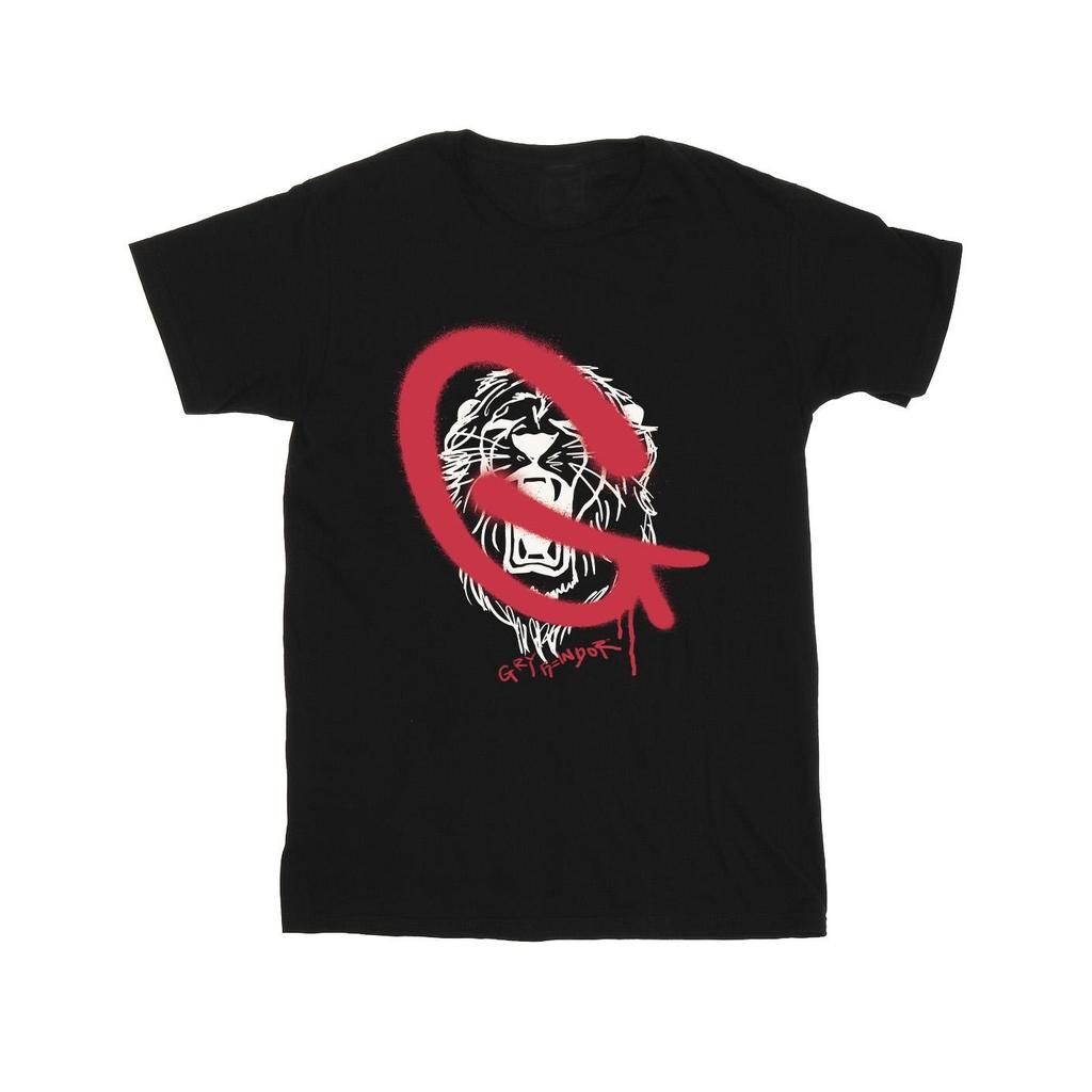 Harry Potter Mens Gryffindor Pop Spray T-Shirt