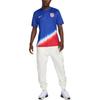 Nike Мужская выездная игровая футболка Nike Dri-FIT USMNT 2024 FJ4277-417