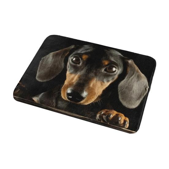 Yousheng Реалистичный коврик для пола с животными 3D ковер с оптической иллюзией Коврик для входа с милым котом Нескользящий коврик для собак для ванной комнаты, кухни, гостиной, спальни