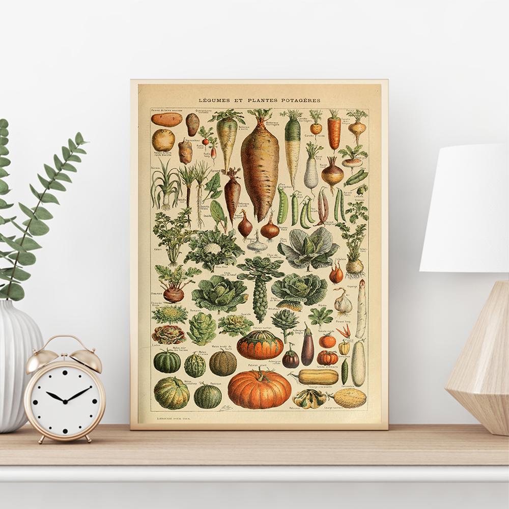 Винтажные фрукты, овощи, бобовые диаграммы, настенный художественный постер для кухни