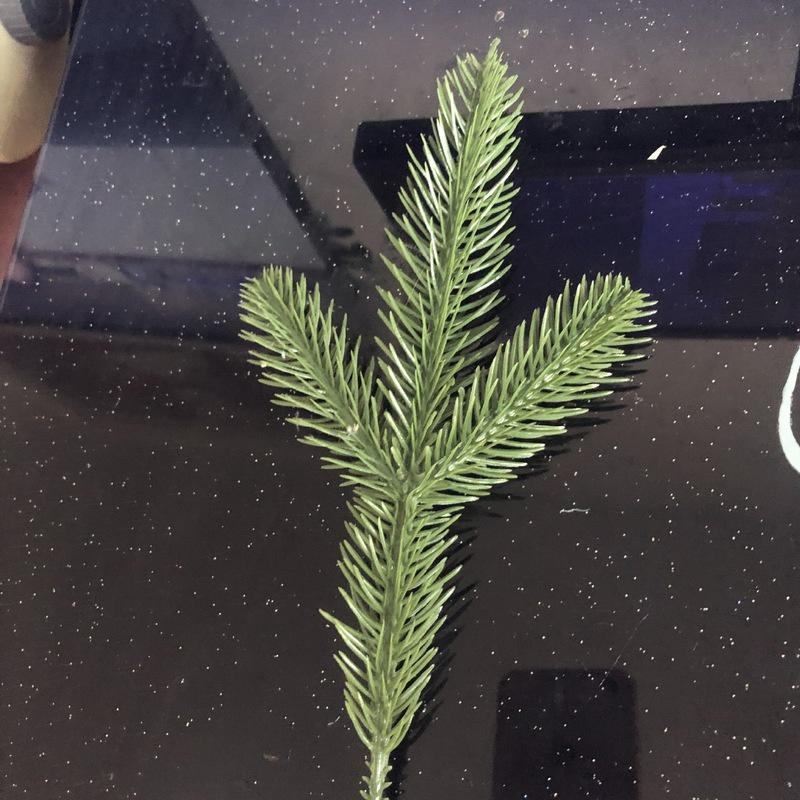 10 шт., искусственные растения, сосновые ветки, аксессуары для рождественской елки, сделай сам, новогодние украшения для вечеринки, рождественские украшения