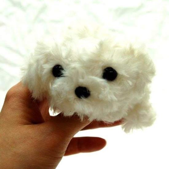 Little Beans Maltese Plush Toy 13cm
