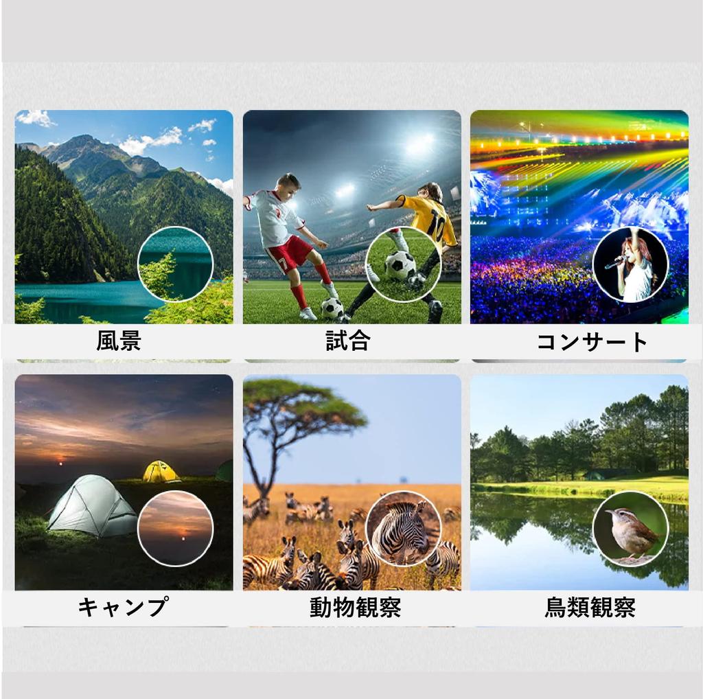 SaiEL Recording Binoculars with 10X 8X Digital Rechargeable Digital Camera Binoculars for Animal and Concerts Monitor, 2.5K Resolution, Magnification,