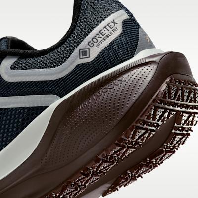 Nike Air Zoom Pegasus 41 Gore-Tex Dark Obsidian Anthracite Pure Platin