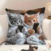 Наволочка для декоративной подушки с 3D-принтом кота, чехол для подушки, дизайн со скрытой молнией, съемный, моющийся