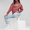Puma American Letter Loose Casual Hoodie Женские толстовки с капюшоном Red-Brown 681520-21