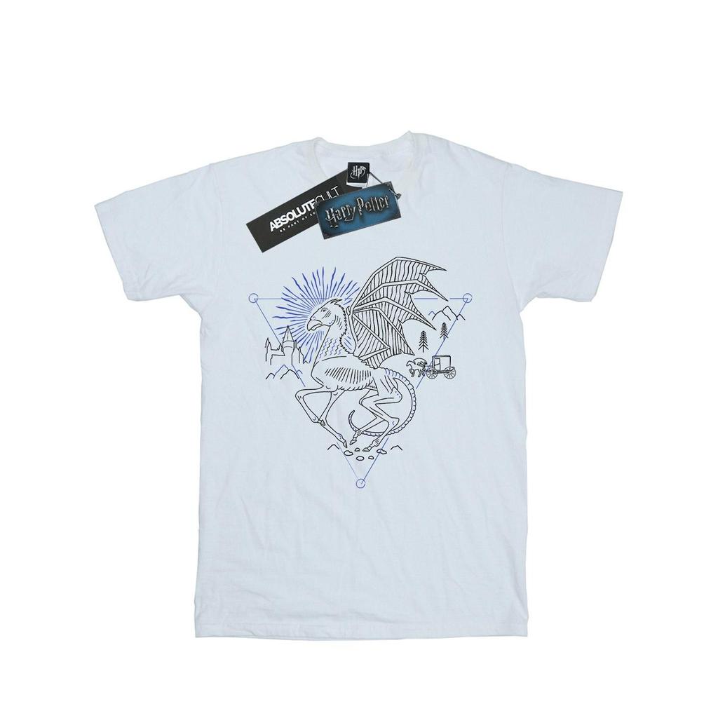 Harry Potter Mens Thestral Line Art T-Shirt
