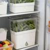 Large Capacity Fresh Herb Keeper Plastic Herb Lettuce Keeper Vanilla Bean Storage Box  Mint