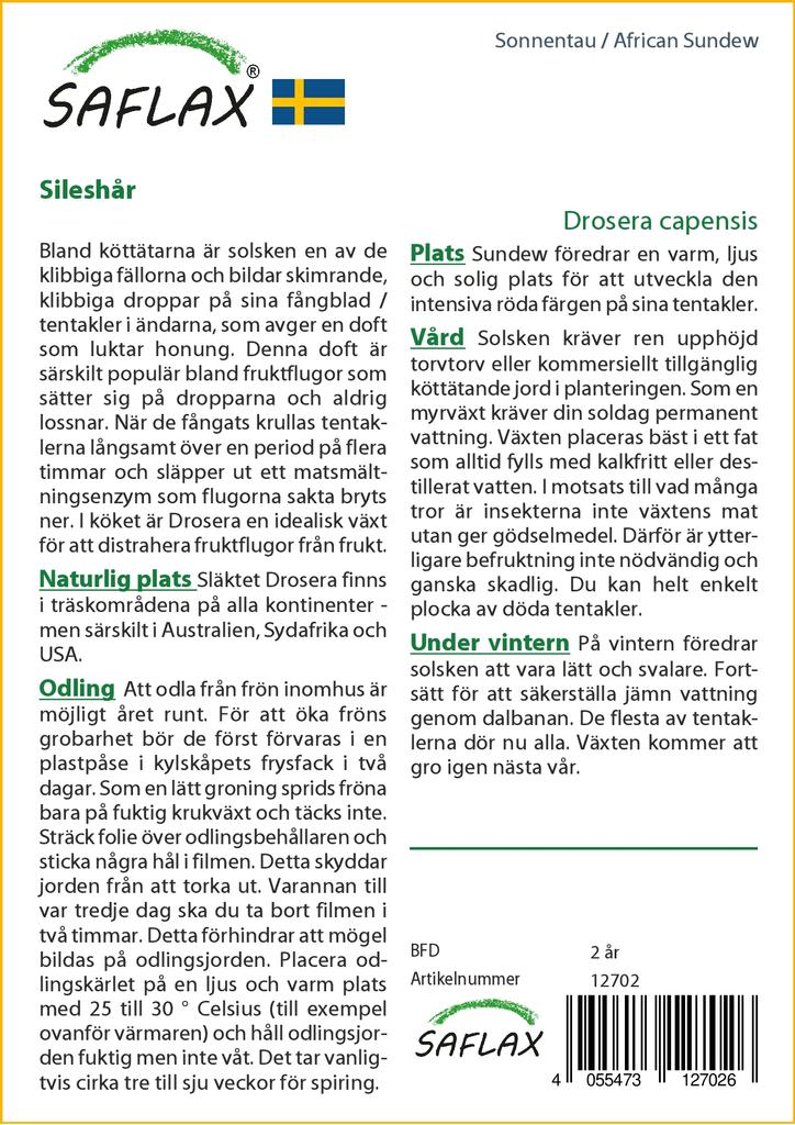 SAFLAX Росянка африканская - 200 семян - Drosera capensis