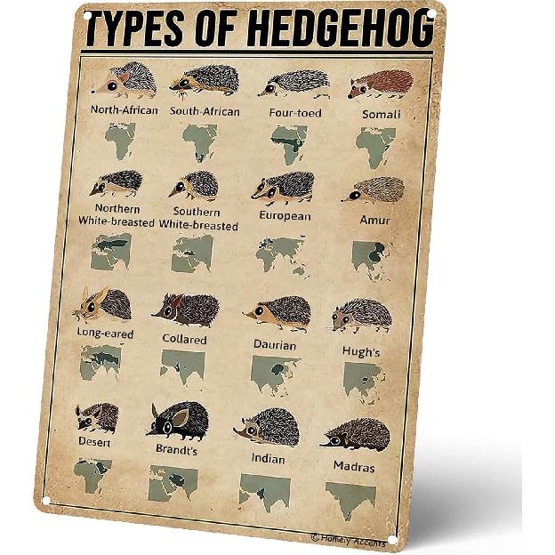 Homely Accents Vintage Farmhouse Decor Metal Signs, Types Of Hedgehog, Educational Art Poster Tin Signs for Bathroom Yard Wall Decor, for Kids