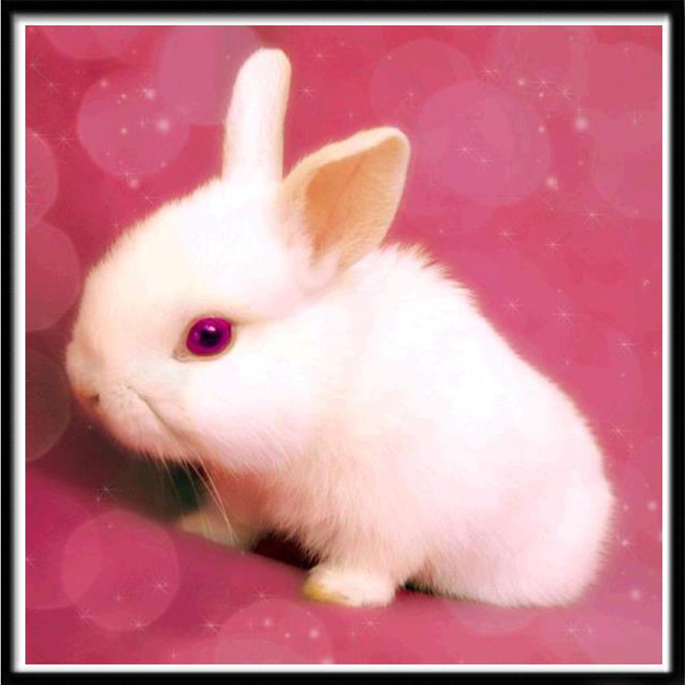 5D Diamond Painting Diy Cross Stitch Embroidery Complete Kit Cat Diamond Painting Home Wall Decoration Handmade Holiday Gifts