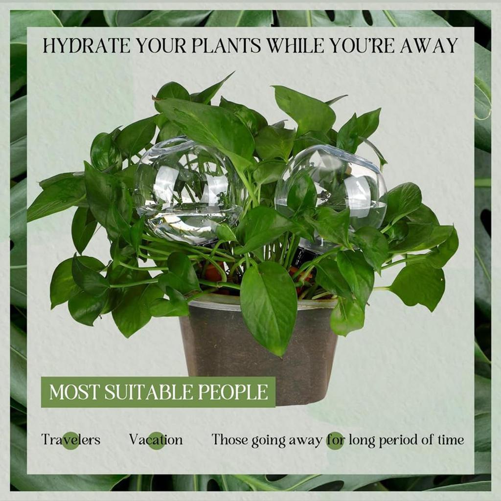 500 мл Автоматические поливочные шары Внутреннее капельное орошение Устройство для полива Самополивающийся горшок Вставка для дома балкона сада