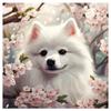 5d DIY Алмазная картина, вышивка крестом, милое животное, померанская собака, персиковый цвет, алмазная вышивка, мозаика, полная круглая дрель, домашний декор, искусство