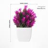 High-Quality Artificial Potted Plants for Indoor/Outdoor Decor and Photography Props
