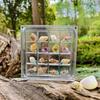 Acrylic Seashell Display Box Storage Display Organizer Box Bead Nail Jewelry Chic Gife