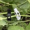 Thickened Plant Fixing Clip Grafting Clip Hanging Device Tomato Clip Plant Clip Plastic Vine Clip Branch Binding