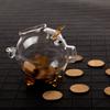 Pig Piggy Bank Money Boxes Coin Saving Box Cute Transparent Souvenir Birth, Coin Banks Money Saving Box