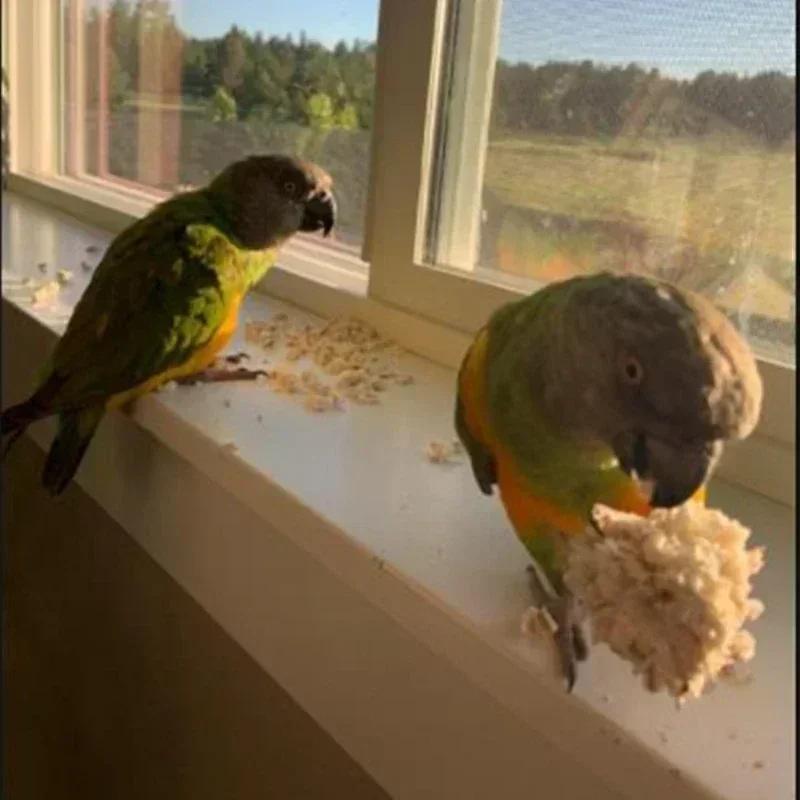 Игрушки для птиц, 3 предмета, натуральные шарики Sola, мягкие жевательные крошки, игрушка для кормления попугая, волнистого попугайчика, амадина, ара, 6 см/2,36 дюйма