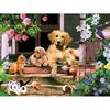 Diamond Painting Lesiure Time of Animals Cross Stitch Diamond Embroidery Diamond Wall Painting