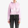 Adidas Originals Sweatshirts Women's Light Purple Hooded Moderate Straight Fit (Unisex) Sweatshirts FM1745