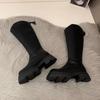 Long Boots Women's Thick-soled Thick Heels 2025 New Autumn and Winter Tall Knight Boots But Knee Thick Legs Big Tube Circumference Long Boots