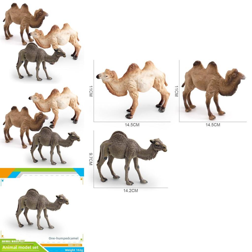Desert Animal Pvc Figurine Twin Hump Camel Static Decor For Children Learning Play